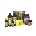 Kit ATAMI Box Coco